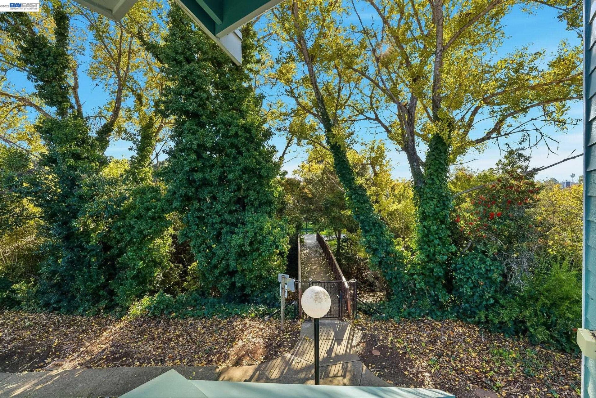 Property photo 29