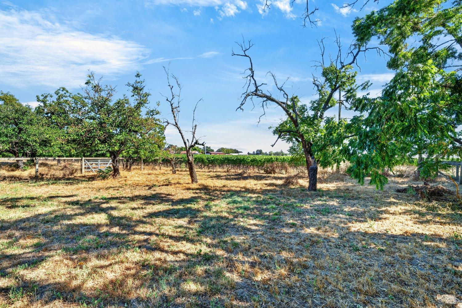 Property photo 41
