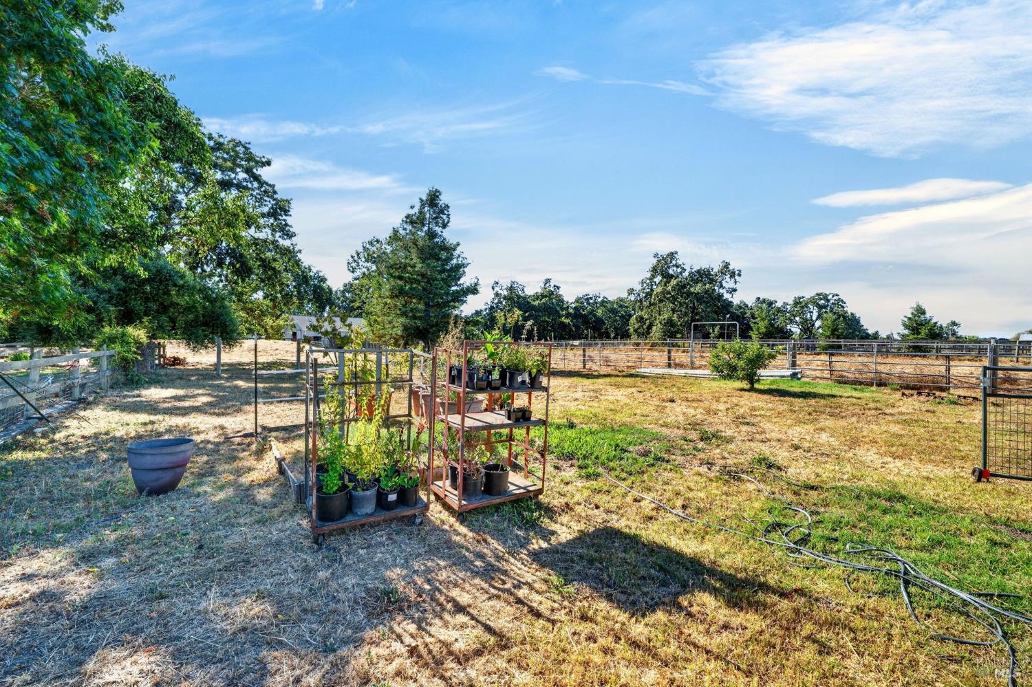 Property photo 44
