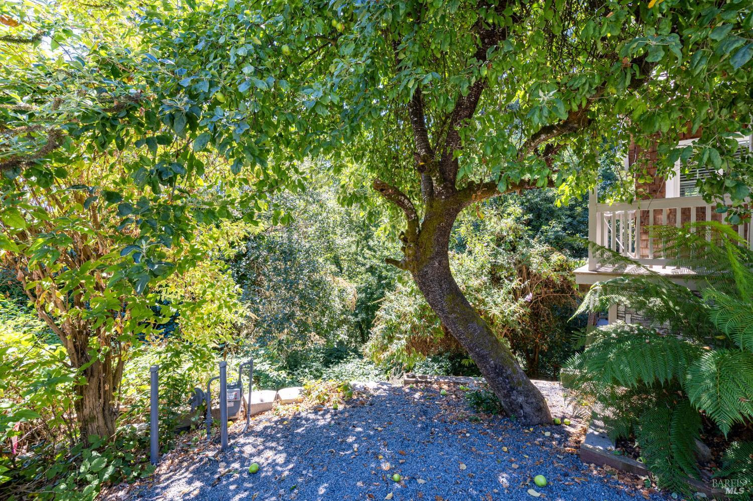Property photo 33