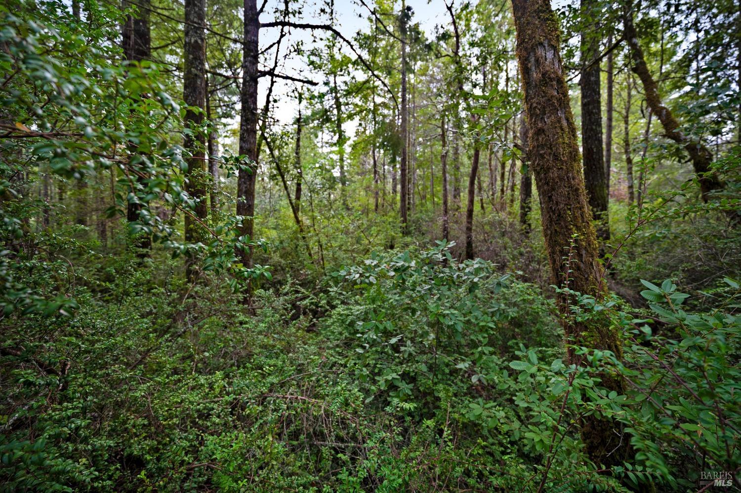 Property photo 22