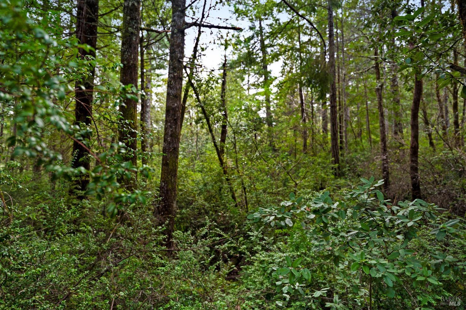 Property photo 23