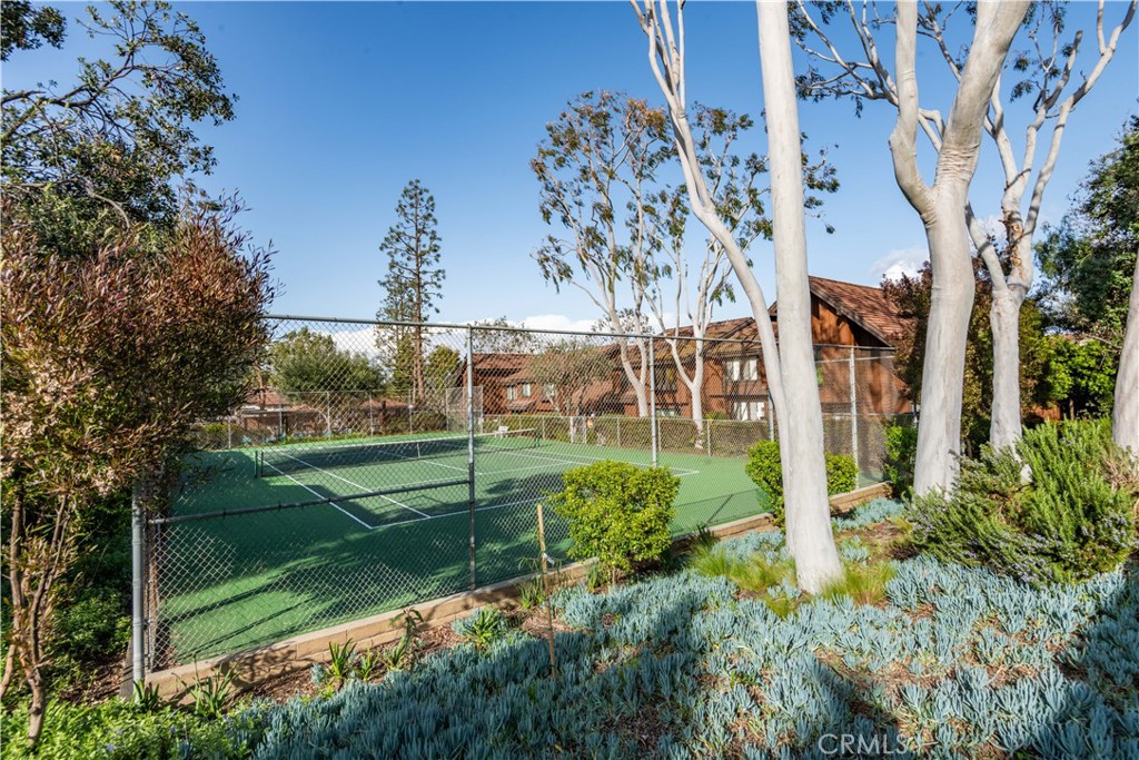 Property photo 42