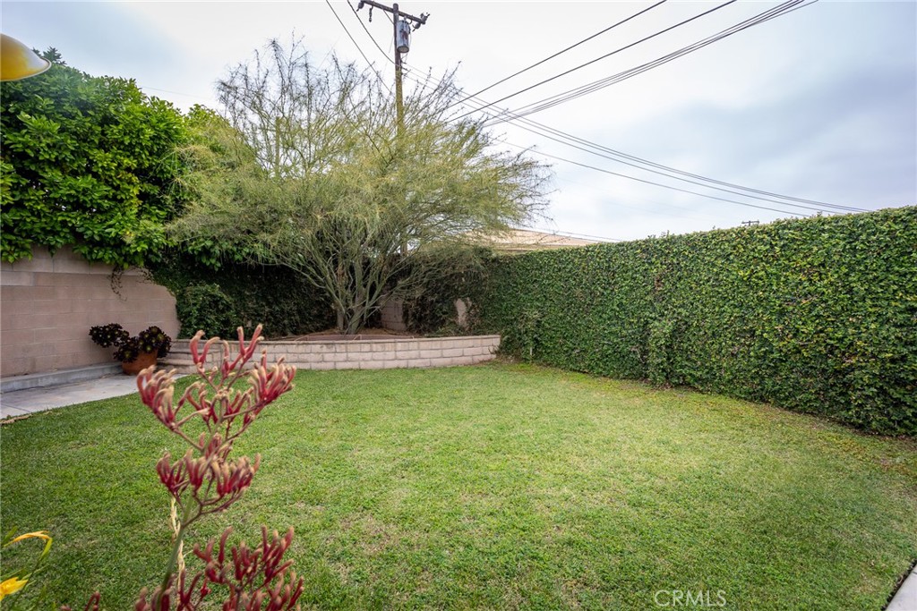 Property photo 44