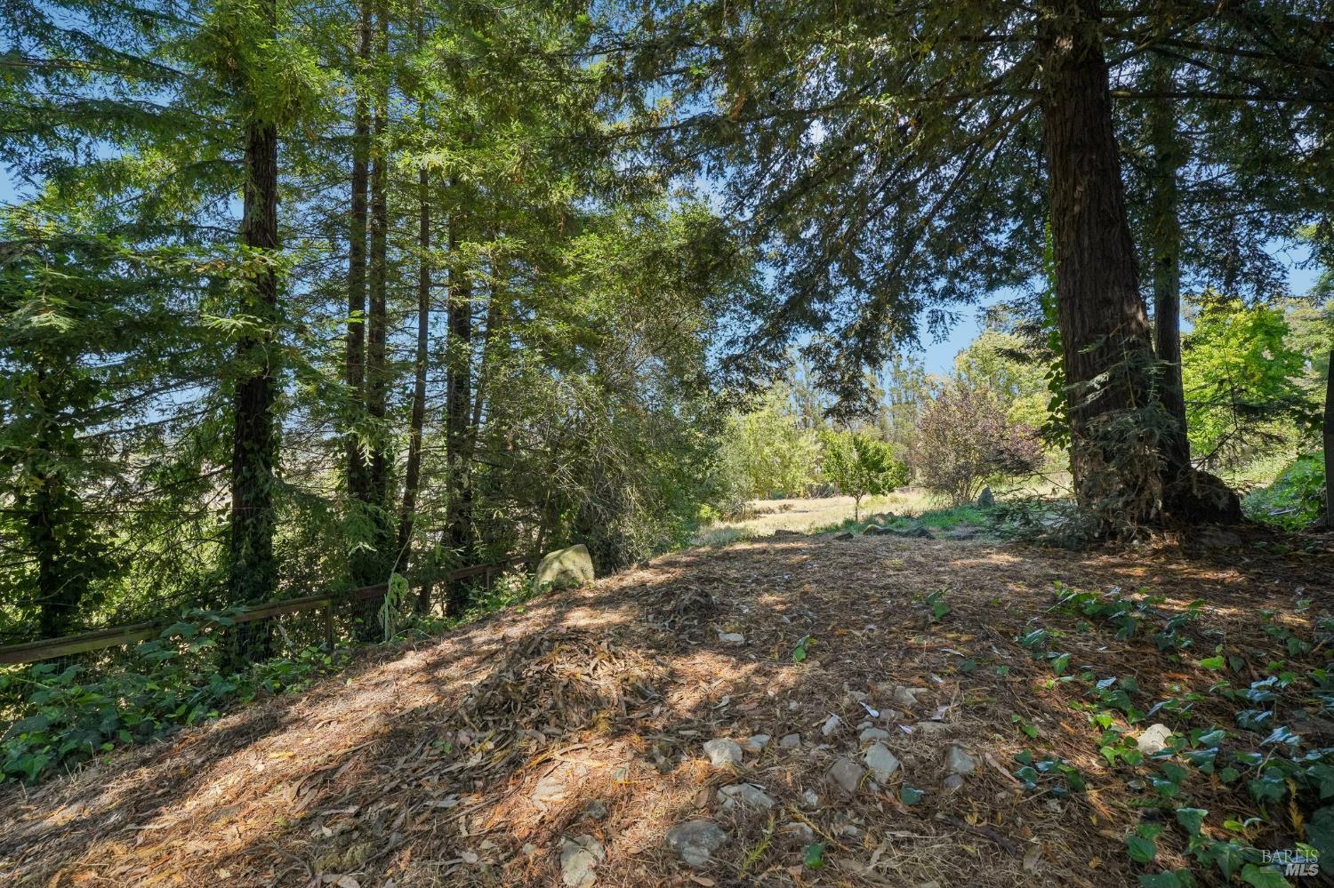 Property photo 39