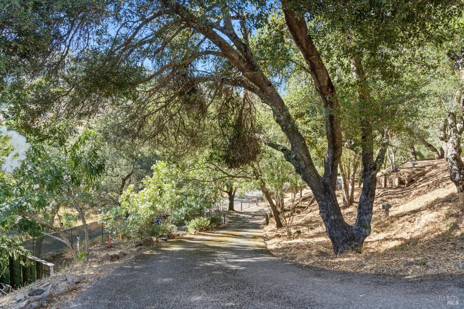 Property photo 41