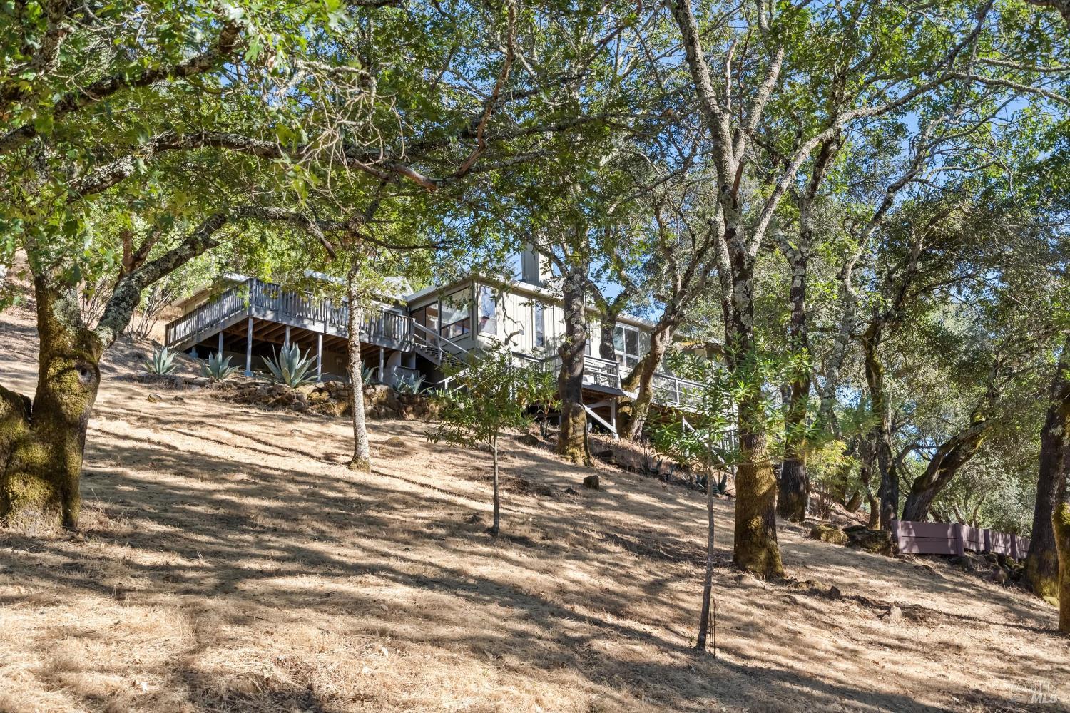Property photo 45