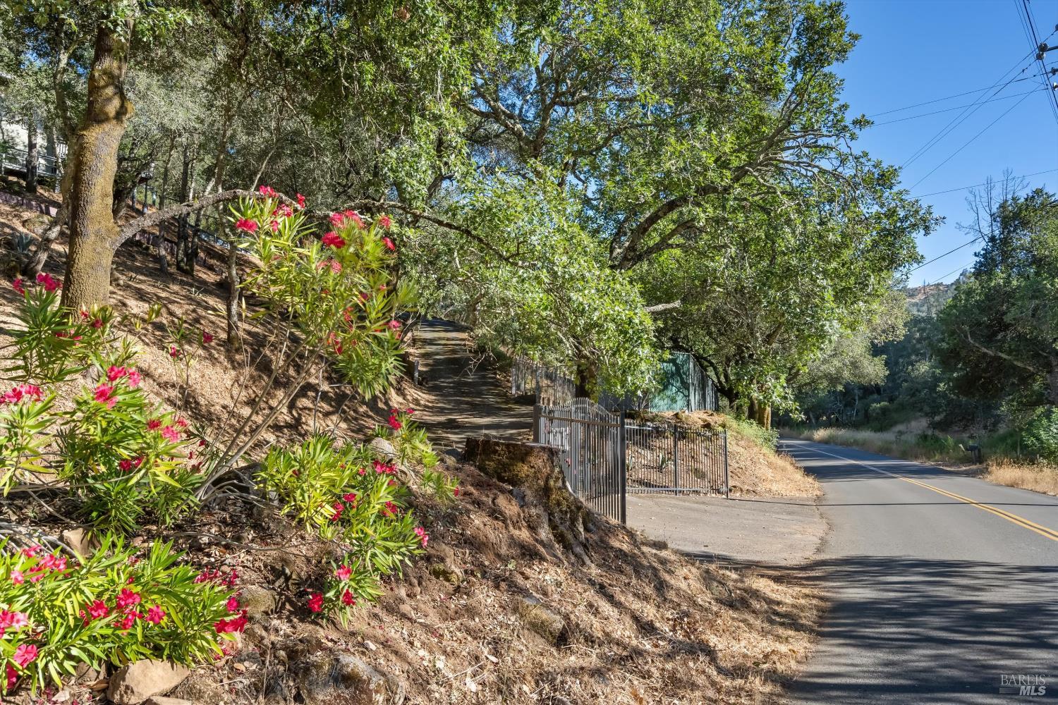 Property photo 46