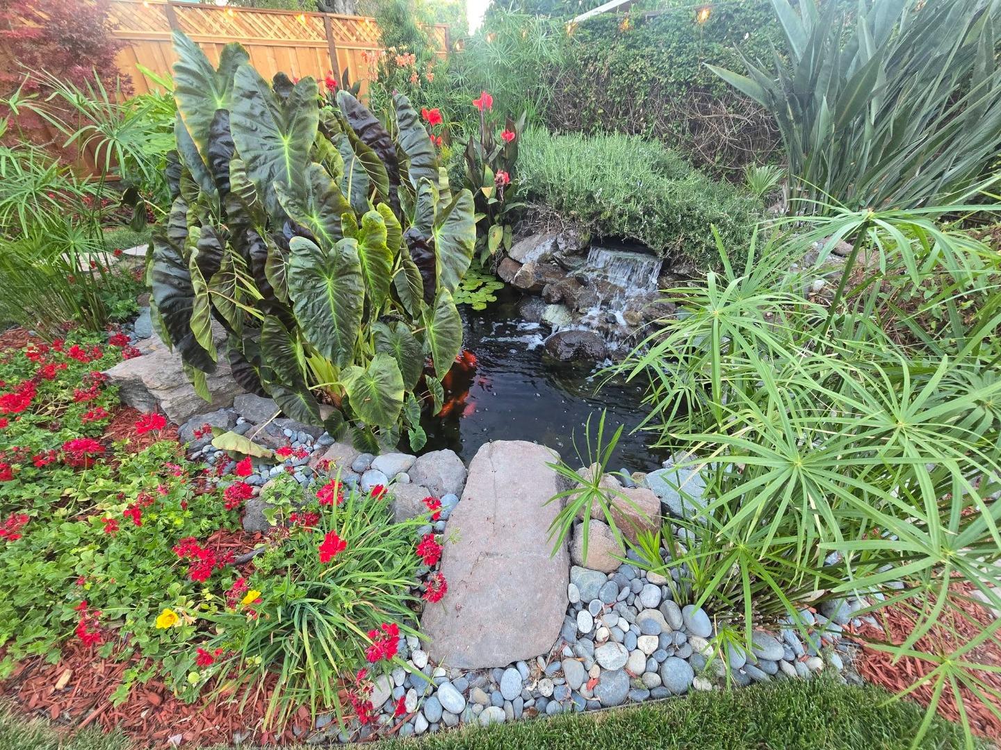 Property photo 44