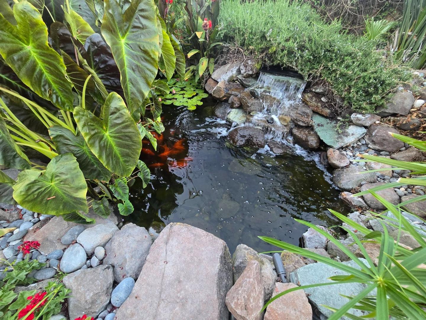 Property photo 45