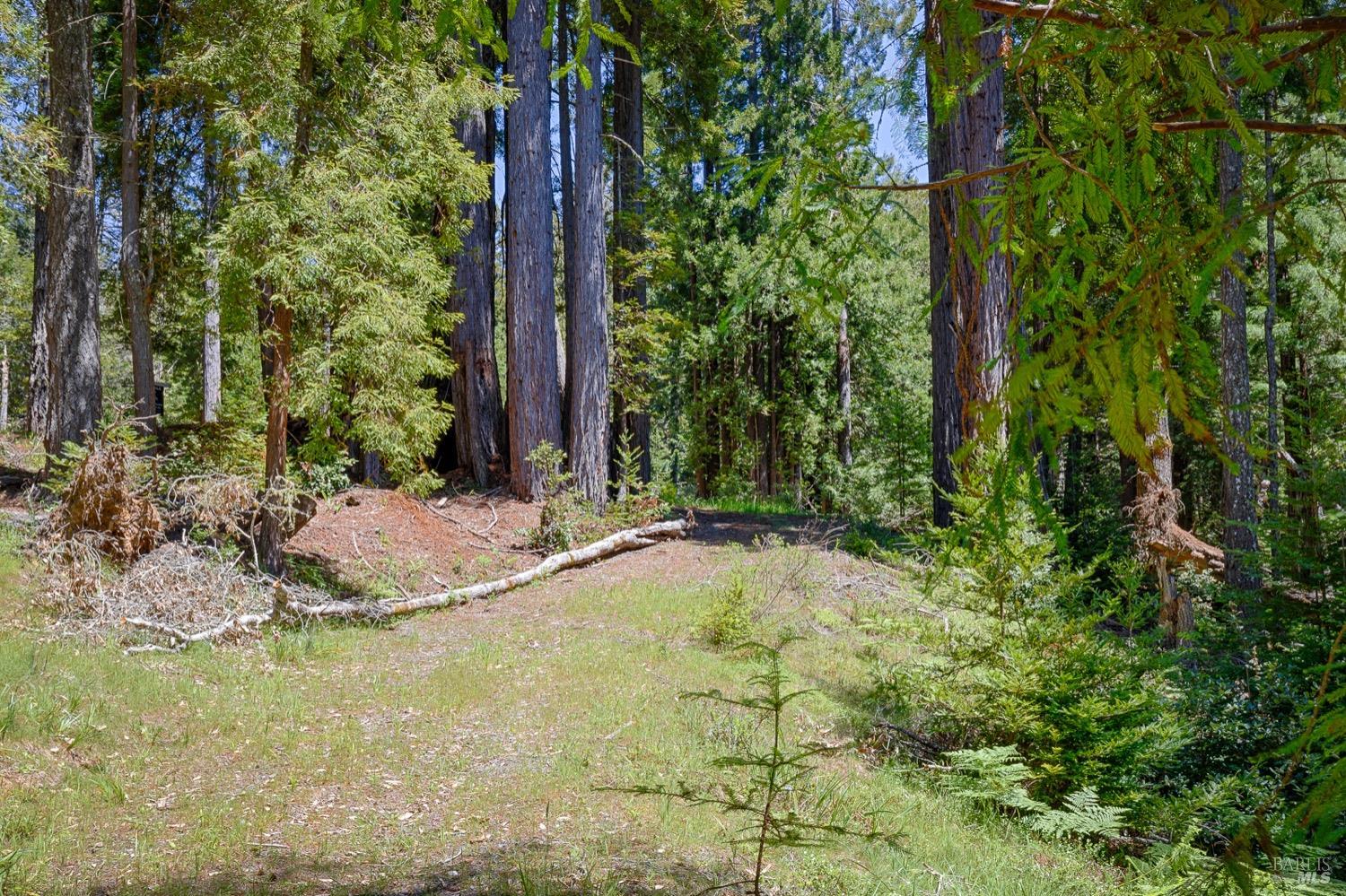 Property photo 18