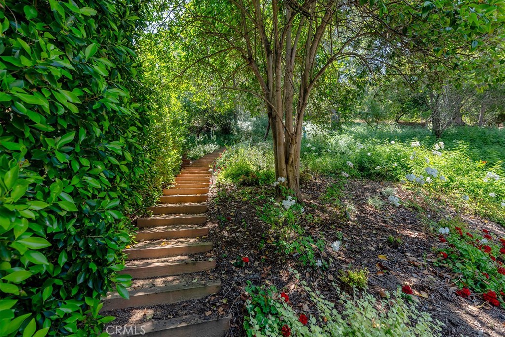 Property photo 49