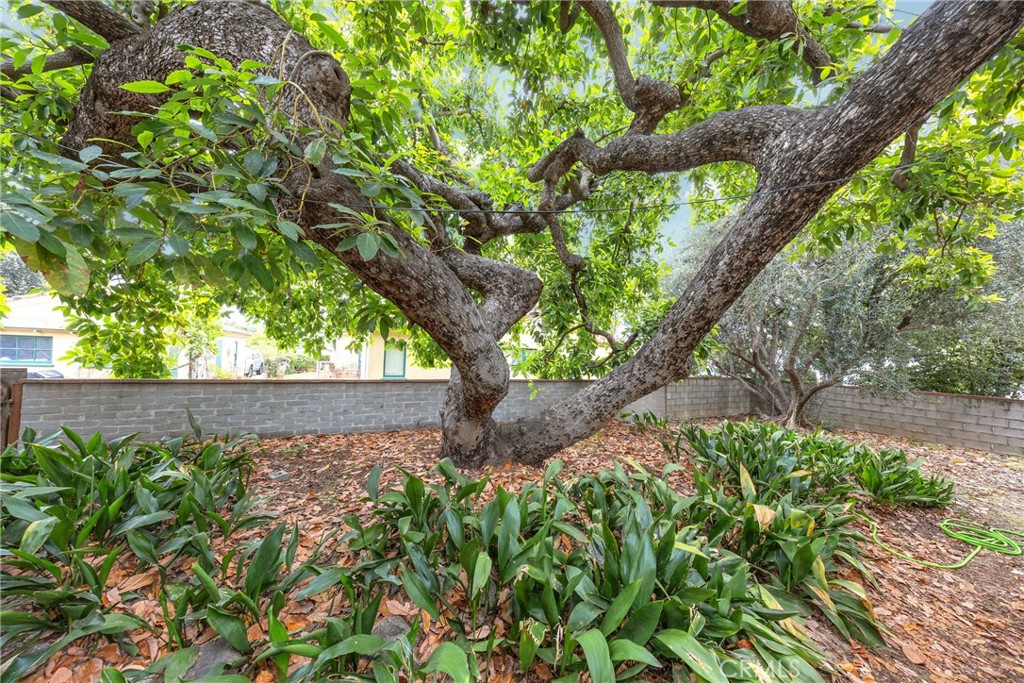 Property photo 43