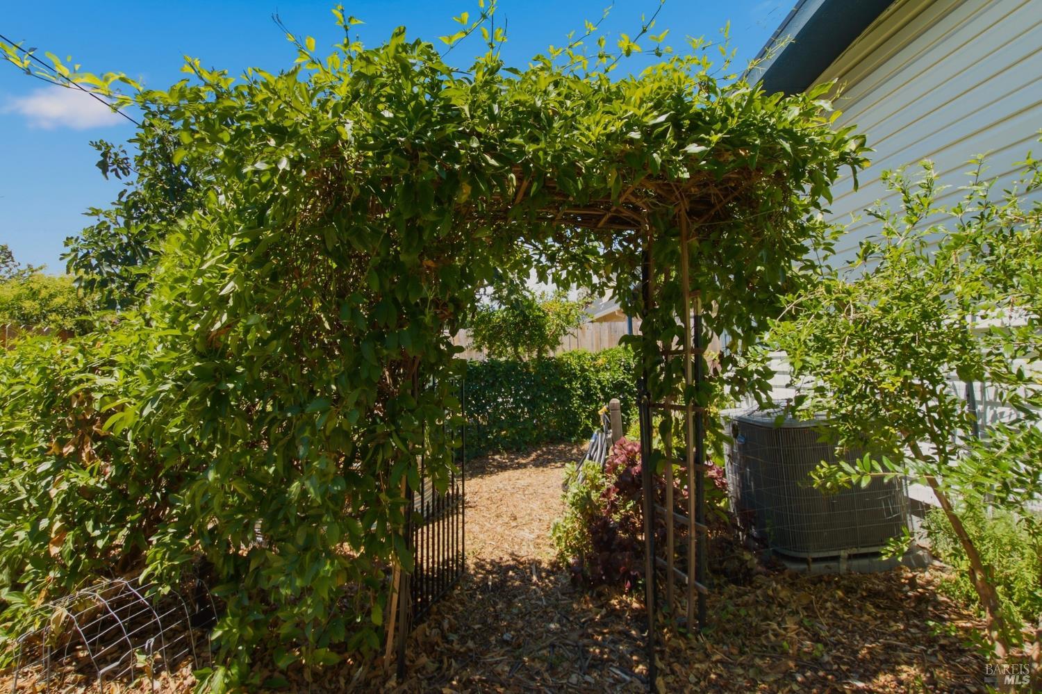 Property photo 37