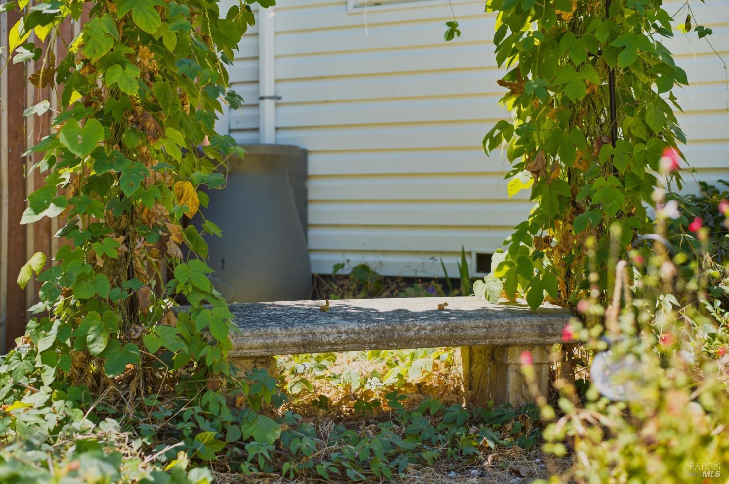 Property photo 41