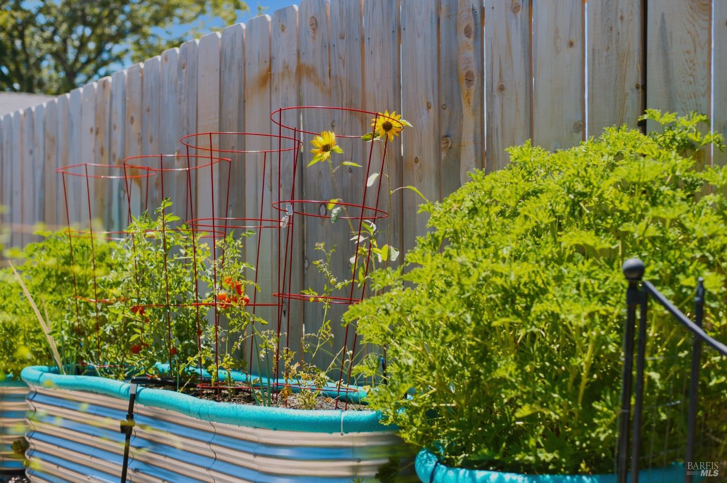 Property photo 43