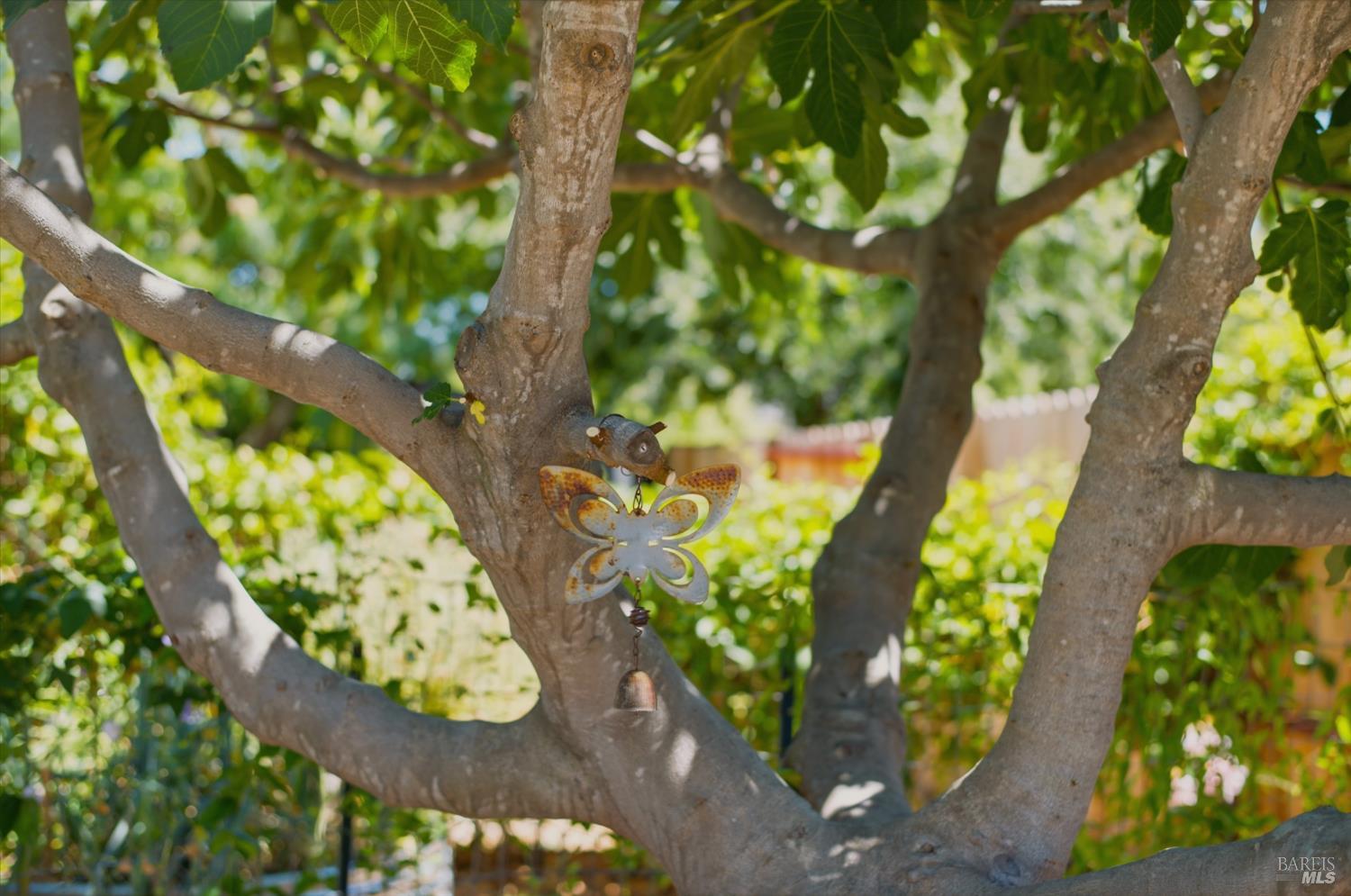 Property photo 45