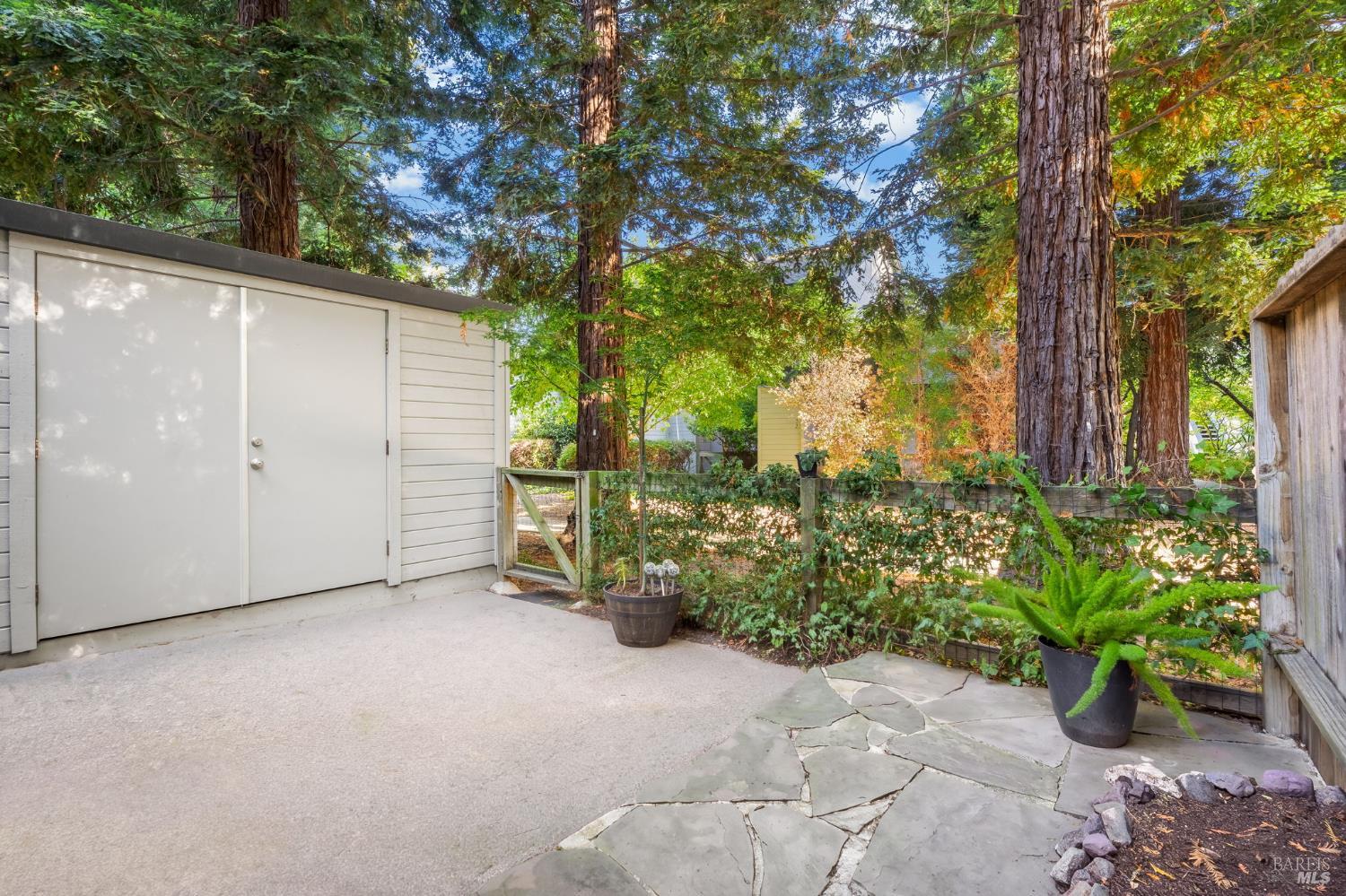 Property photo 34