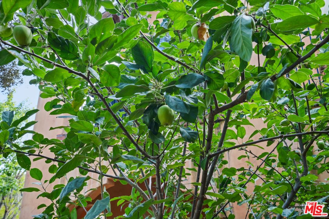 Property photo 48