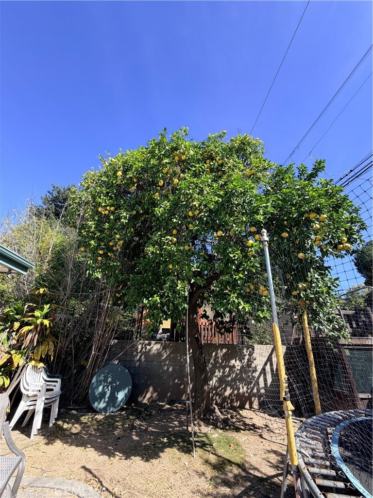 Property photo 25