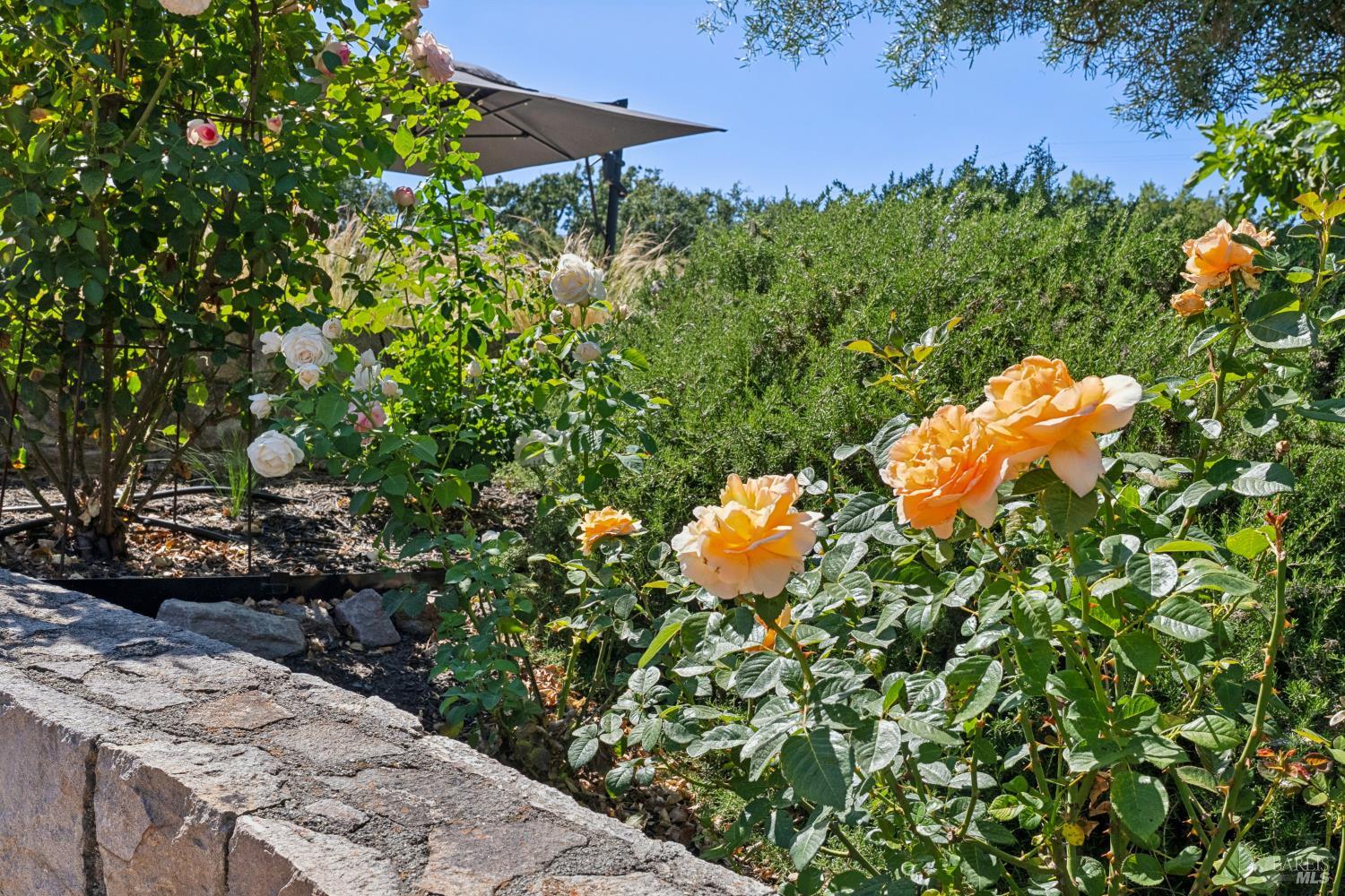 Property photo 41