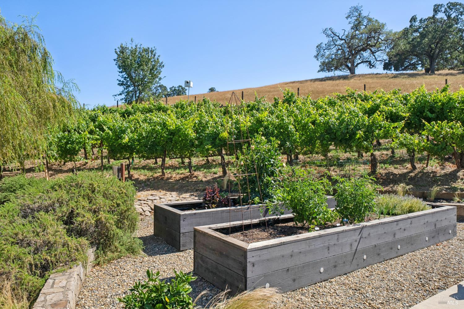 Property photo 46