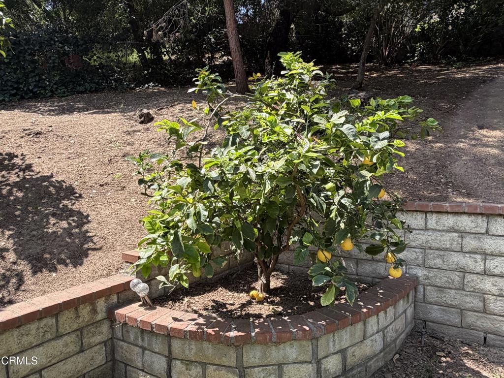 Property photo 38