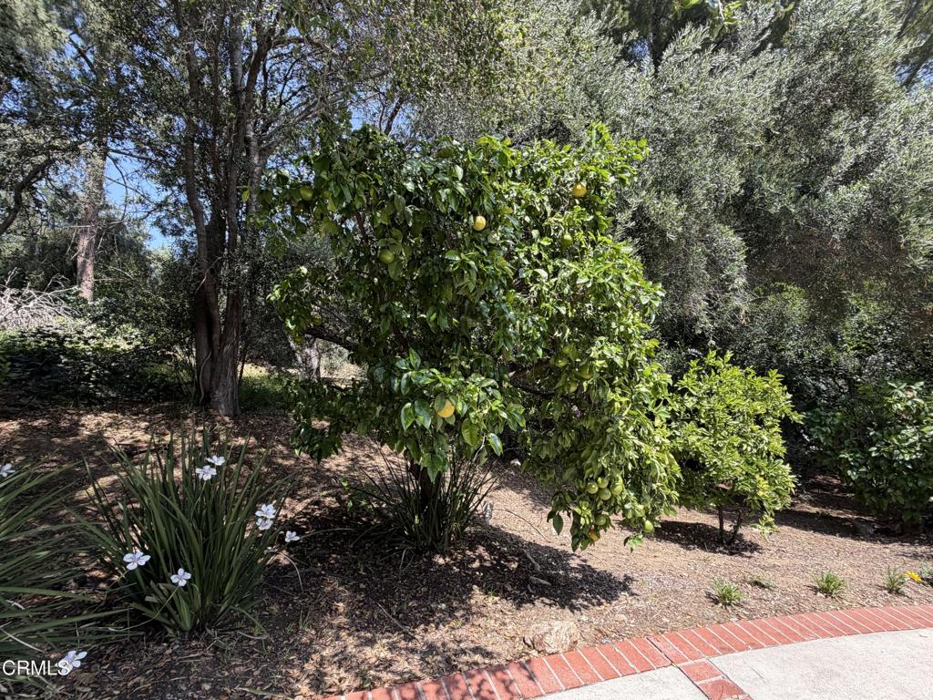 Property photo 39