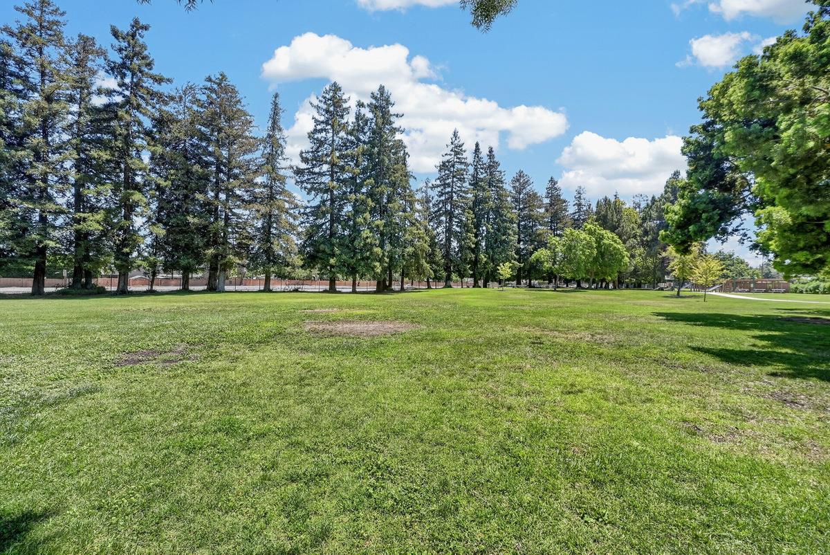 Property photo 47
