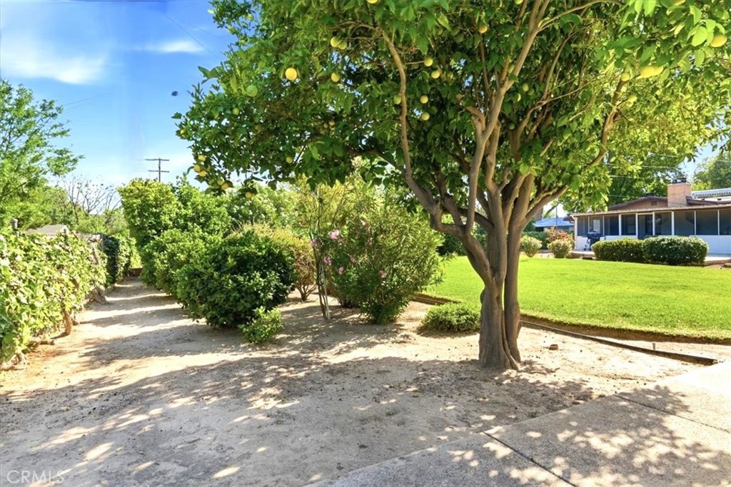 Property photo 19