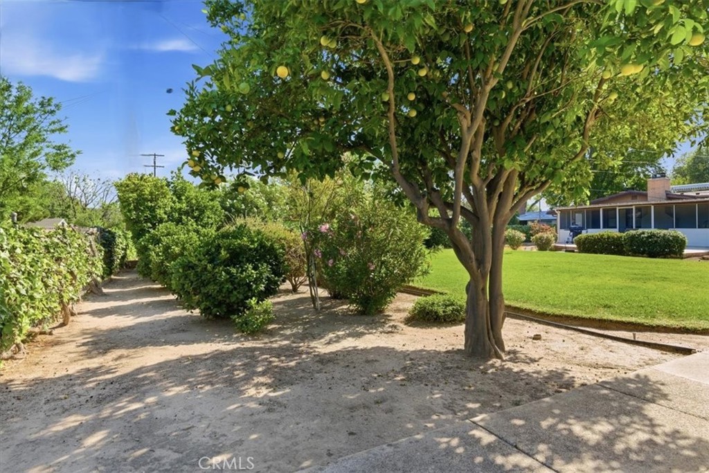 Property photo 20