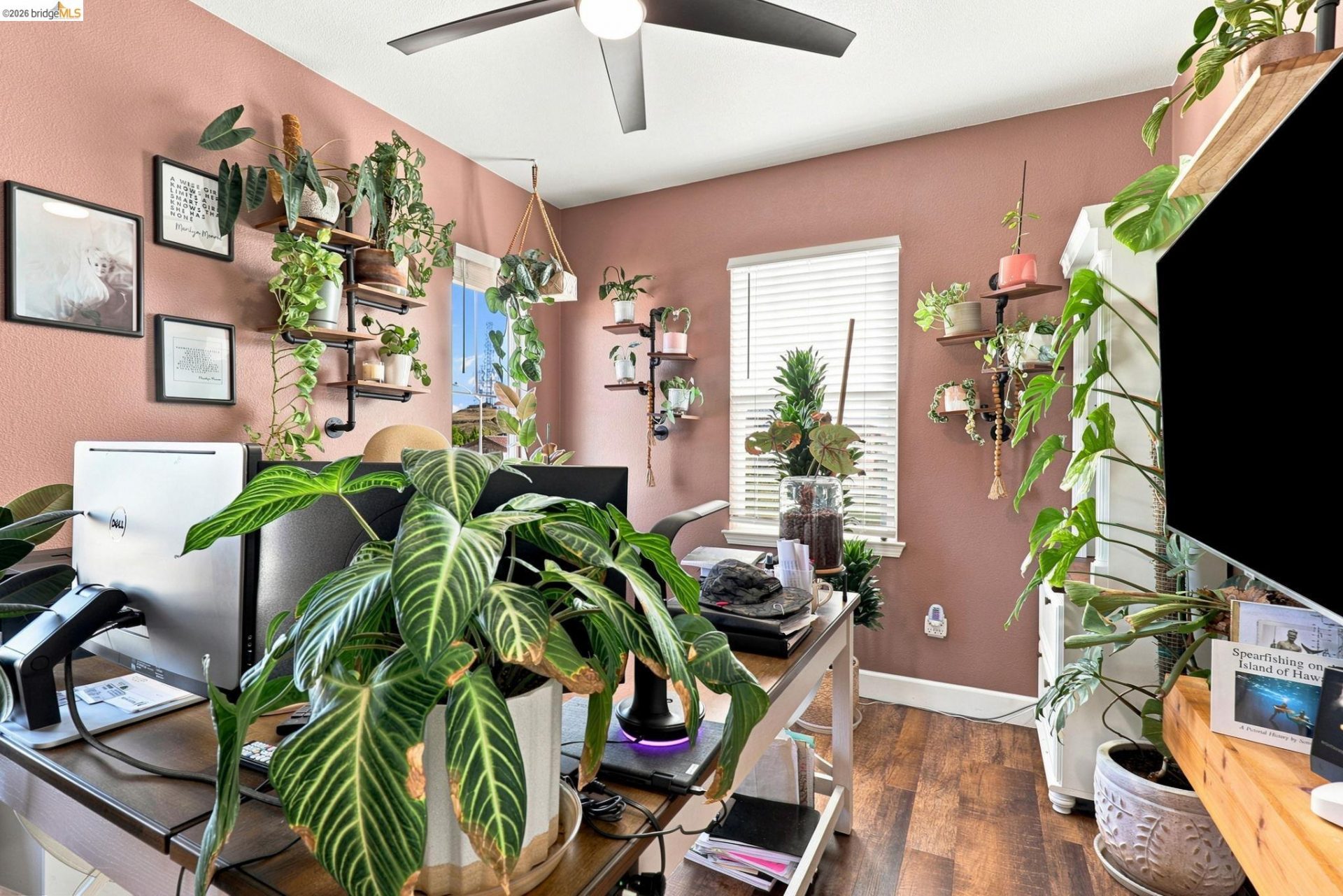 Property photo 39