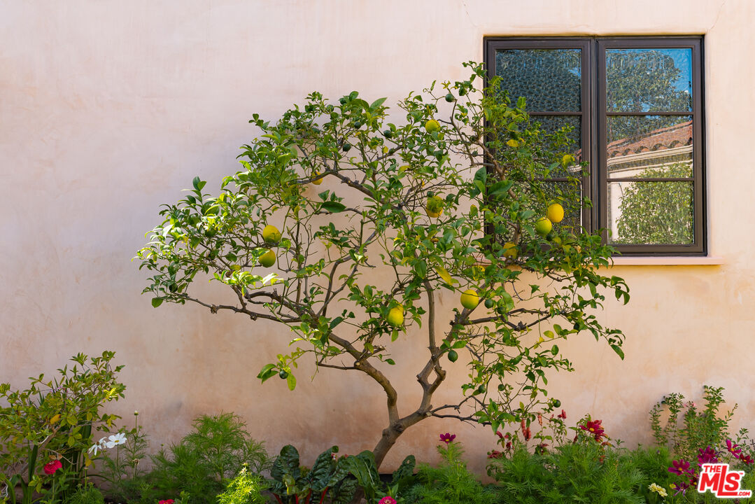 Property photo 50