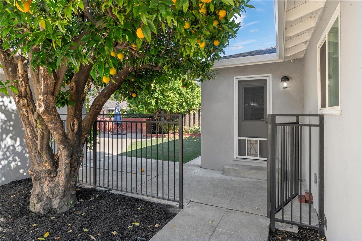 Property photo 46