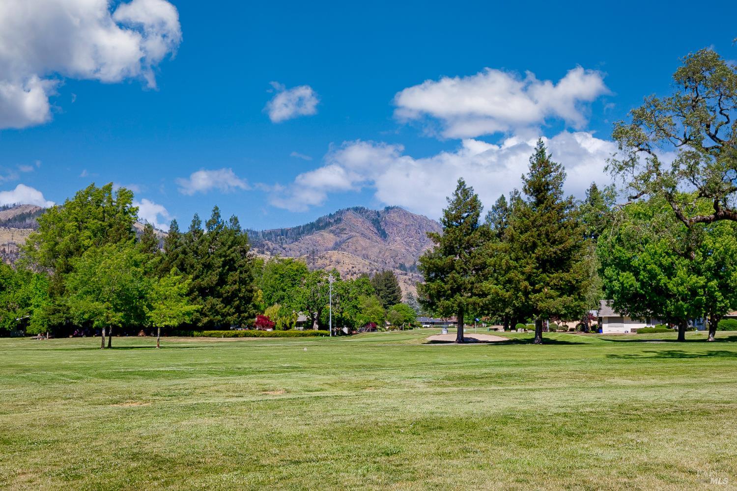 Property photo 45