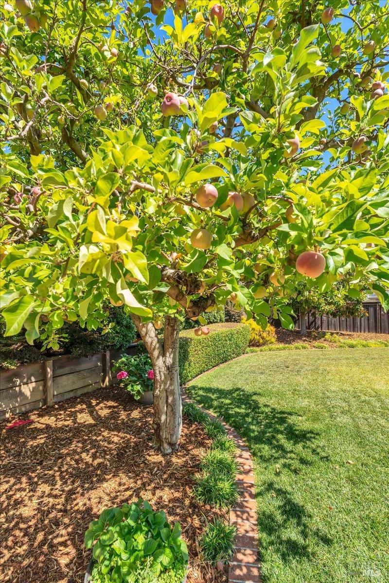 Property photo 42