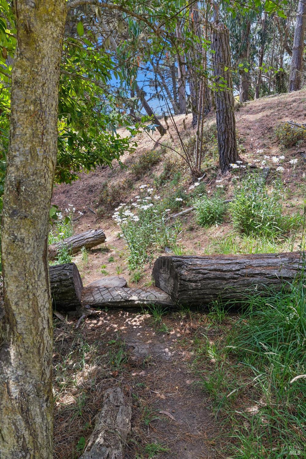 Property photo 27