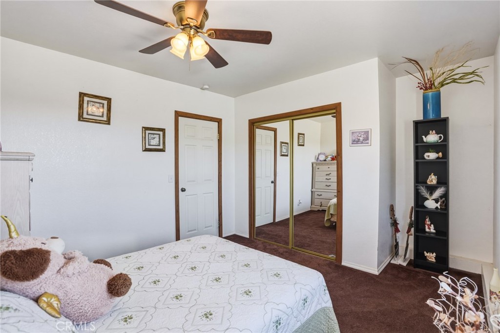 Property photo 43