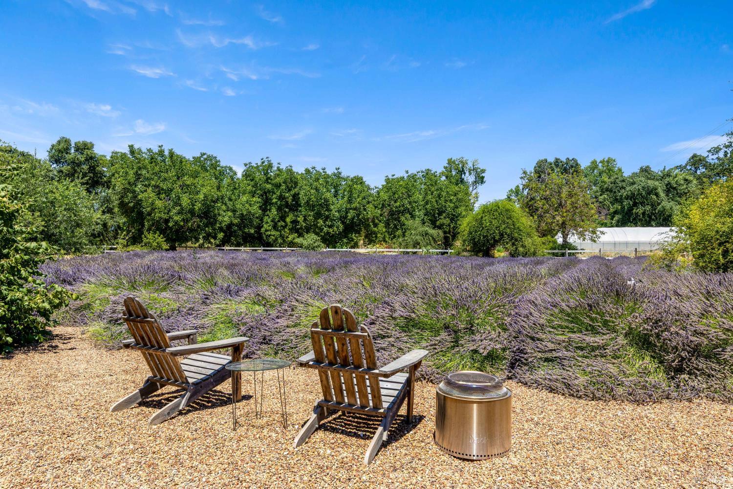 Property photo 46