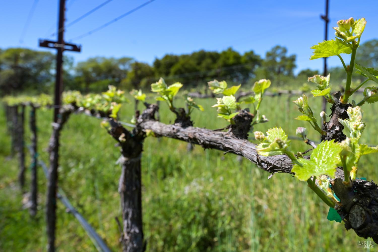 Property photo 41