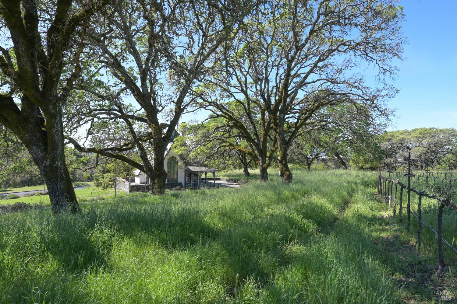 Property photo 42