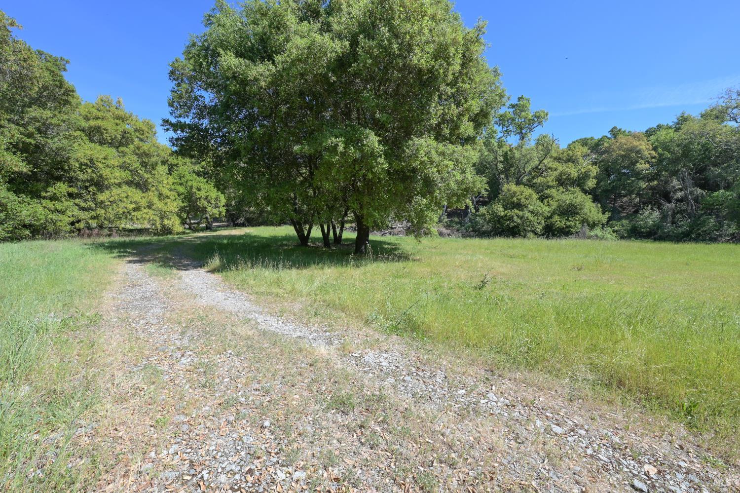 Property photo 48