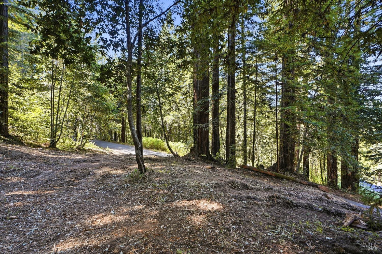 Property photo 18