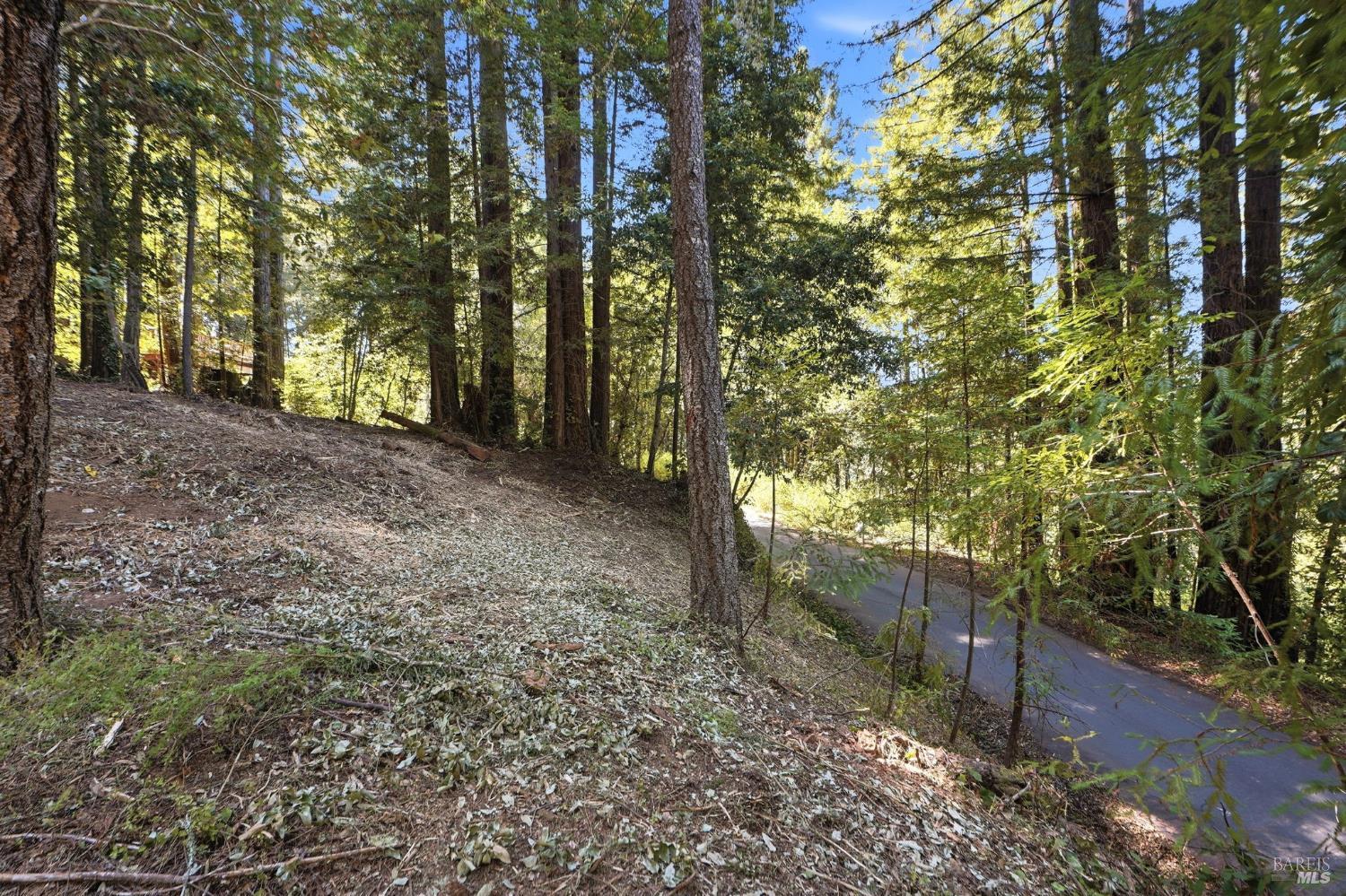 Property photo 20