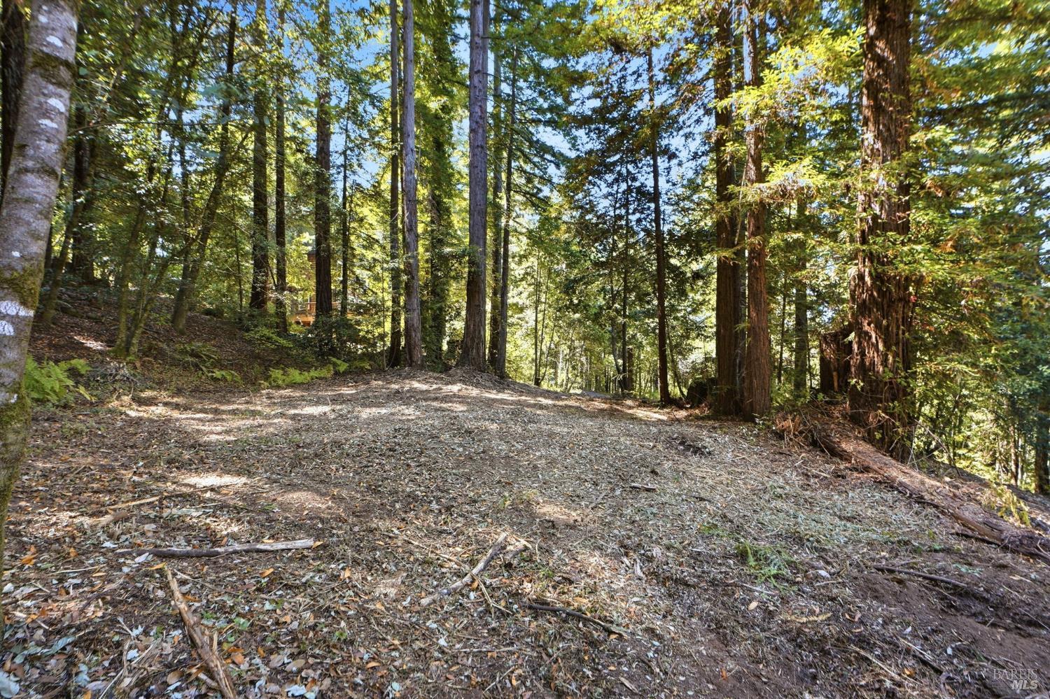 Property photo 21