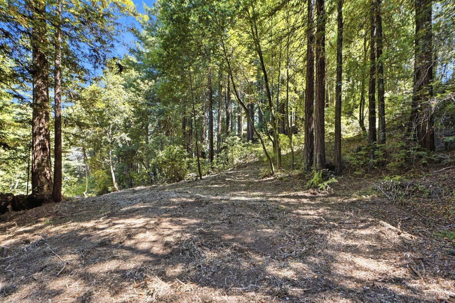 Property photo 22