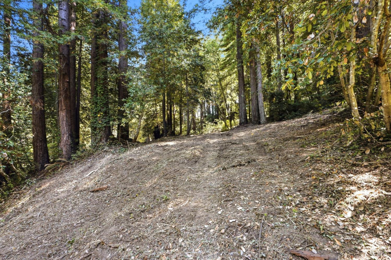 Property photo 24