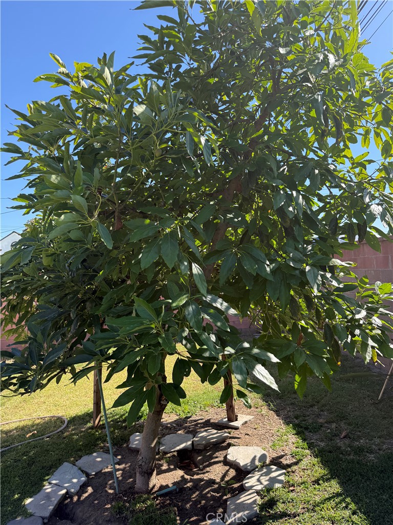 Property photo 42