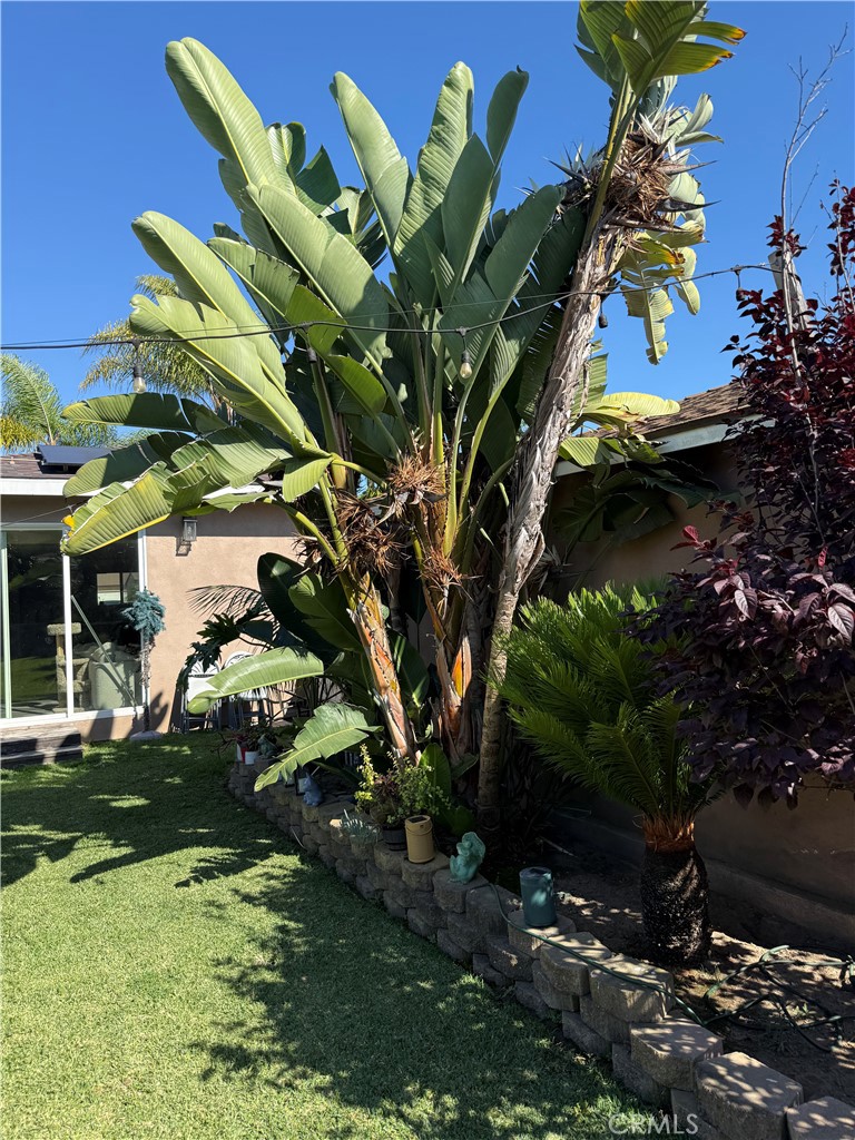 Property photo 43