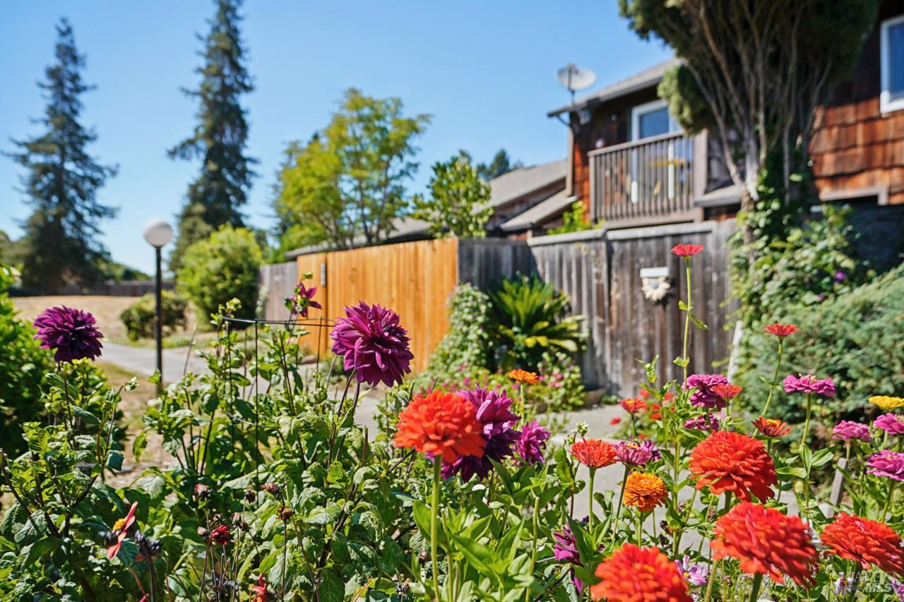 Property photo 35